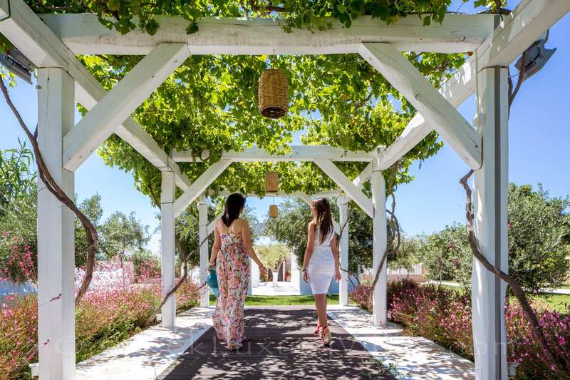 A spacious garden of a luxury villa with a pool in Naxos