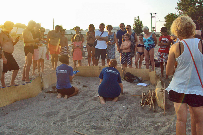 Turtle hutch on the beach where the beach bungalows of Peloponnese are