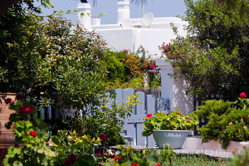 Garden of beachfront villa on Skyros